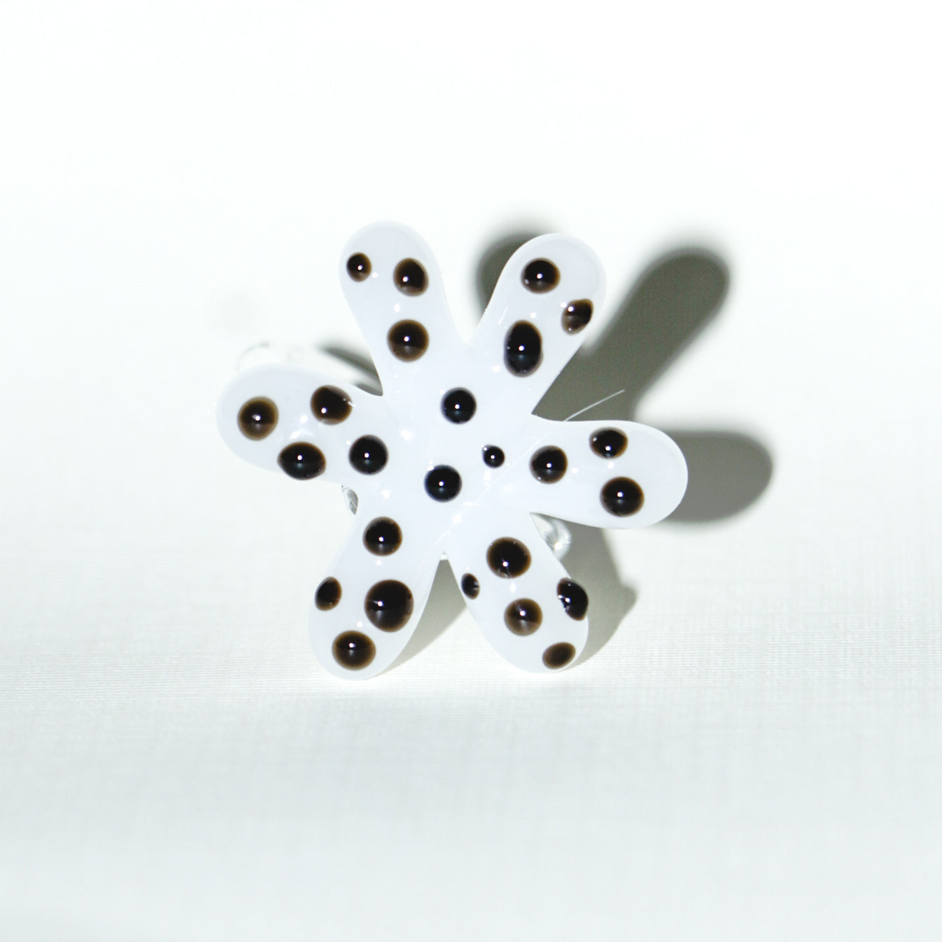 Flor dalmata